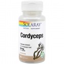 Cordyceps (ciuperca medicinala tibetana) 60 capsule vegetale Solaray