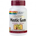 Mastic Gum (protector gastric) 500mg 45 capsule vegetale Solaray