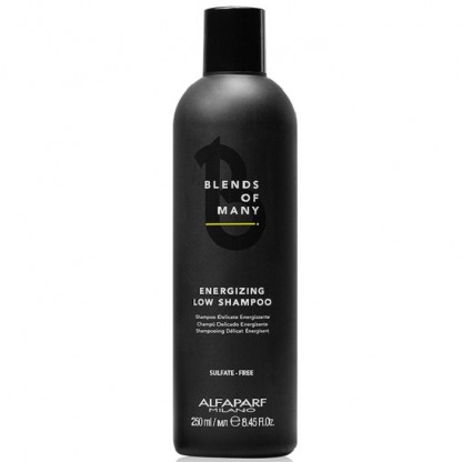 Sampon pt barbati anti caderea parului 250ml Alfaparf Milano