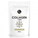 Colagen cu MSM instant, natural 200g Diet Food
