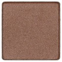 Fard de pleoape bio Bright Woods, refill 1.5g Benecos