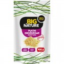 Fulgi de drojdie inactiva 500g Big Nature