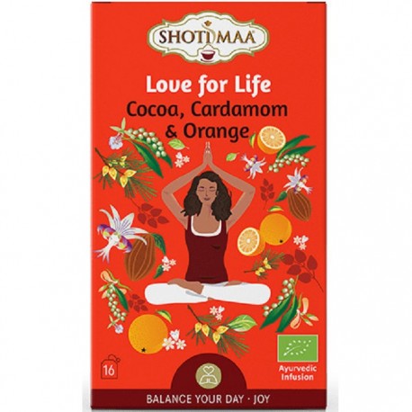 Ceai Balance Your Day - Love for Life - cacao, cardamom si portocala bio 16dz Shotimaa