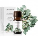 Ulei esential natural de eucalipt 7ml Organique