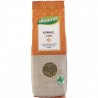 Chimen seminte bio 60g Dennree