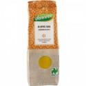 Curcuma macinata bio 50g Dennree