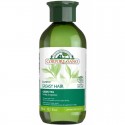 Sampon cu ceai verde si urzica, pt par gras 300ml Corpore Sano