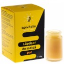 Laptisor de matca pur 25g Apivitalis