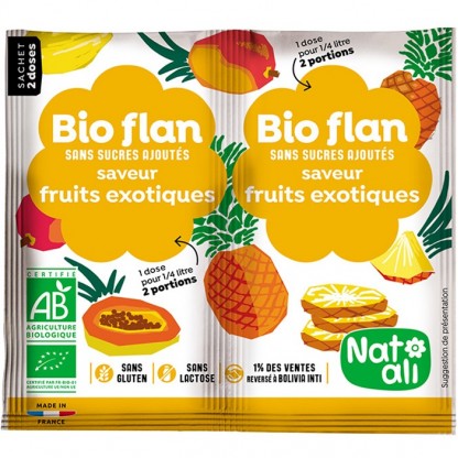 Budinca de fructe exotice bio 2x 4g Nat-Ali