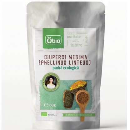 Ciuperci Mesima (Phellinus Linteus) pudra bio 60g Obio