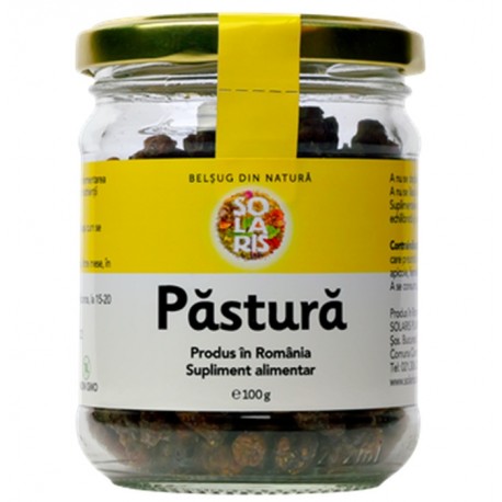 Pastura - Painea albinelor 100g Solaris