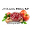 Ketchup bio si pasta de tomate organica