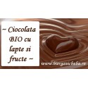 Ciocolata cu lapte BIO organica
