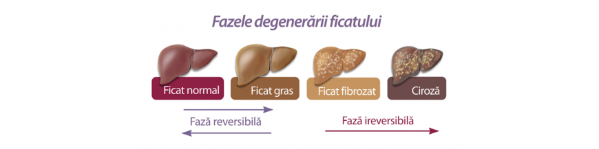 Sanatatea Ficatului - suplimente naturale