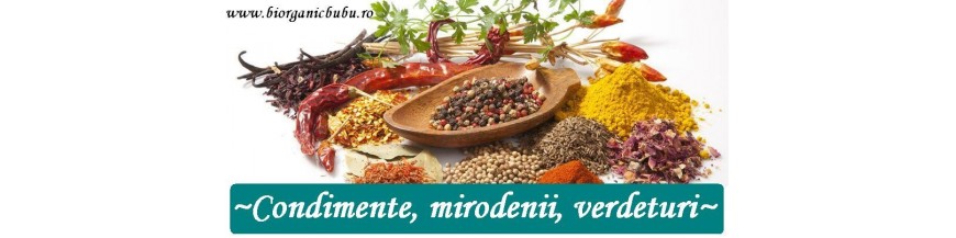 Condimente si mirodenii BIO Organice