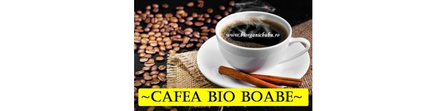 Cafea boabe BIO Organica