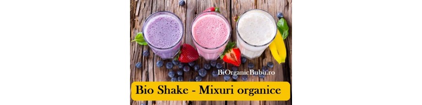 Shake proteic Bio Vegan - mix organic pt smoothie