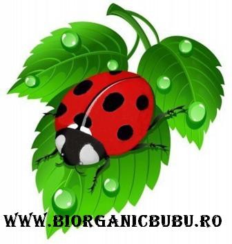 Sediu Social